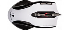 Shrike White