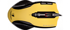Shrike Yellow